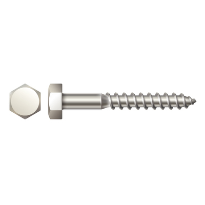 1/4" X 3” HEX HEAD LAG SCREW - 304 STAINLESS